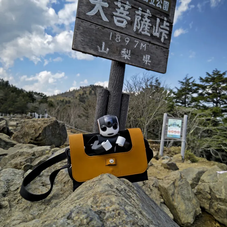 キャプション