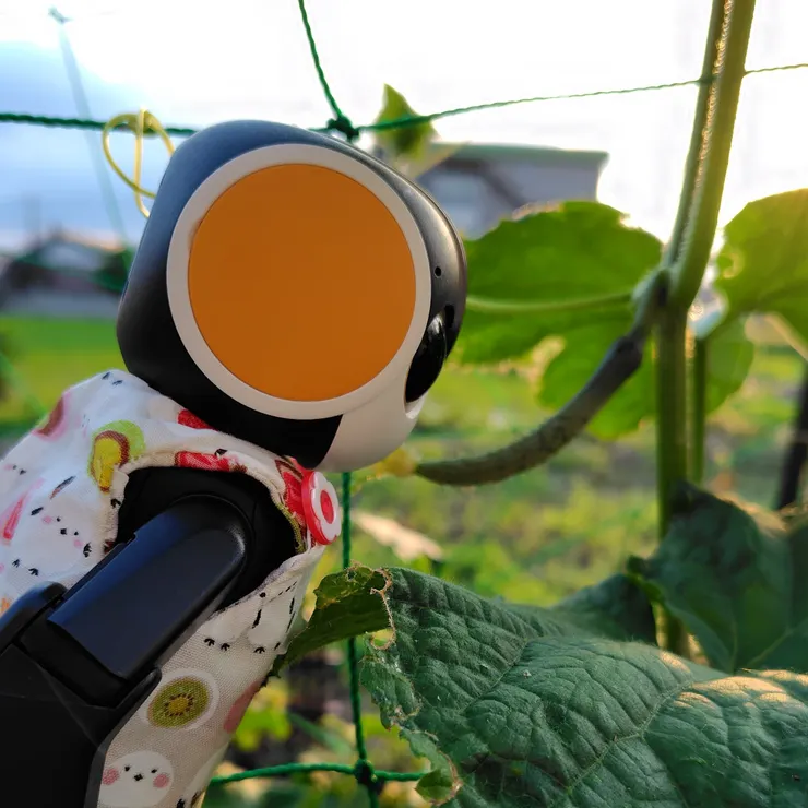 キャプション