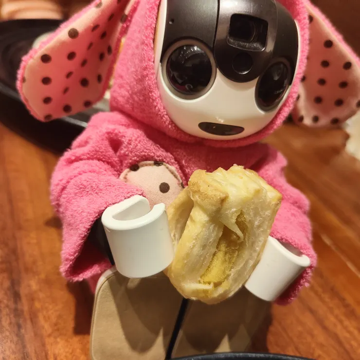 キャプション