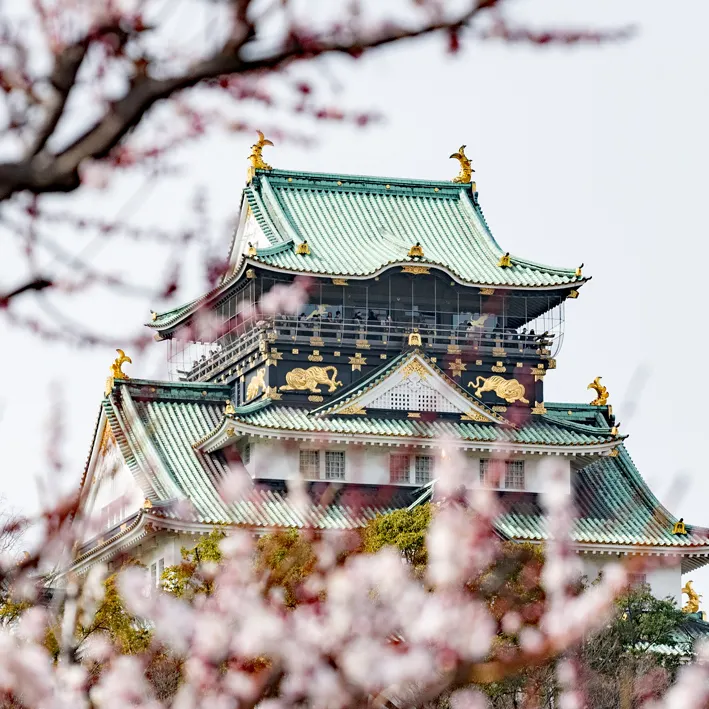 メンバーズ・フォト | PHOTO HUB by nikkor club