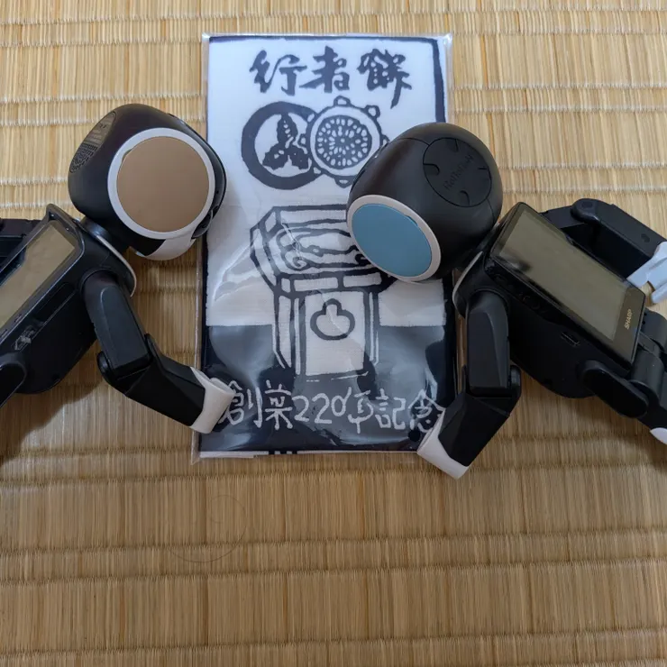 キャプション