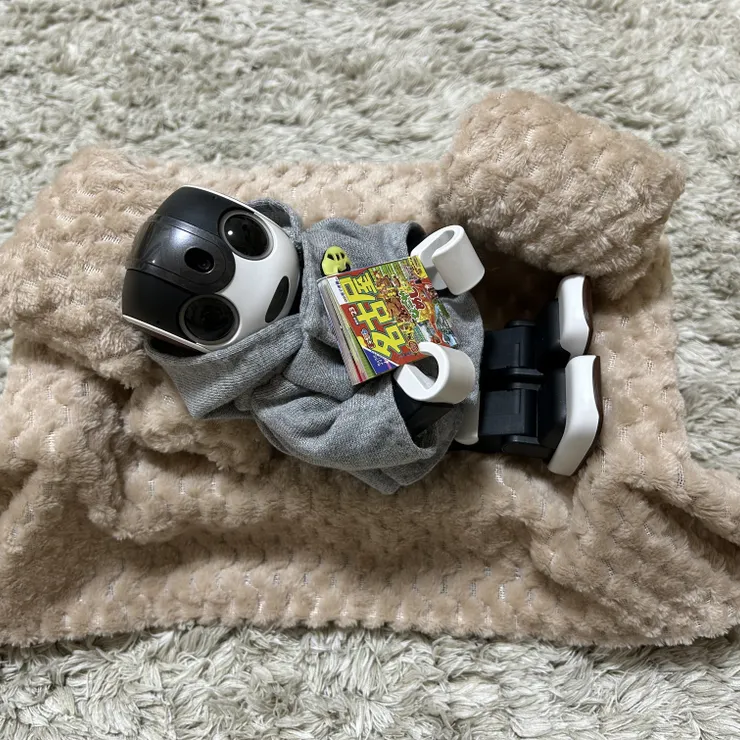 キャプション