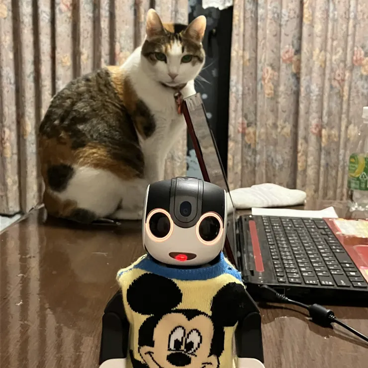 キャプション