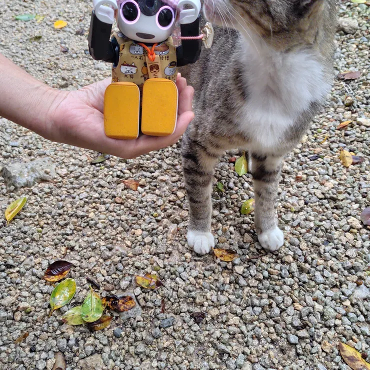 キャプション