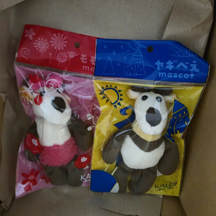 キャプション