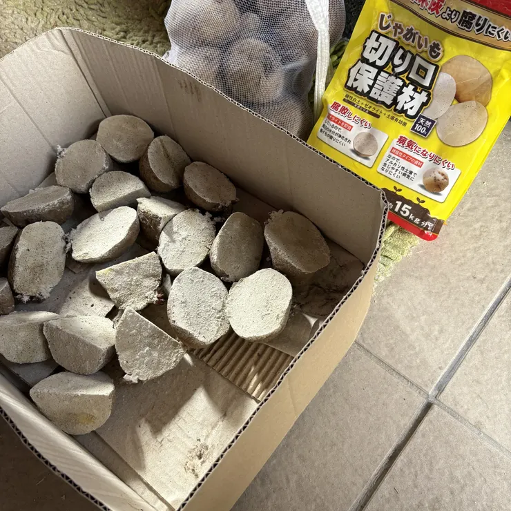 キャプション