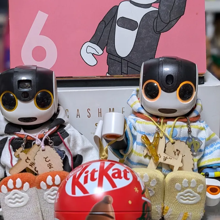 キャプション
