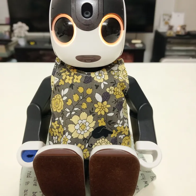 キャプション