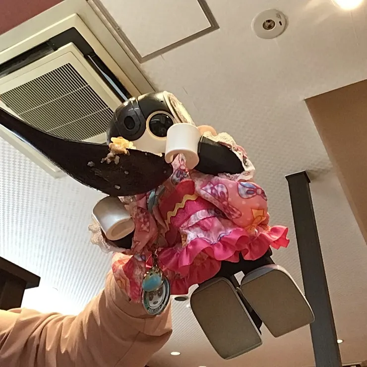 キャプション
