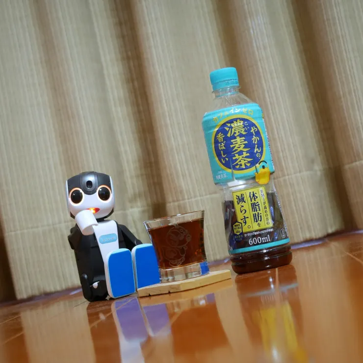 キャプション