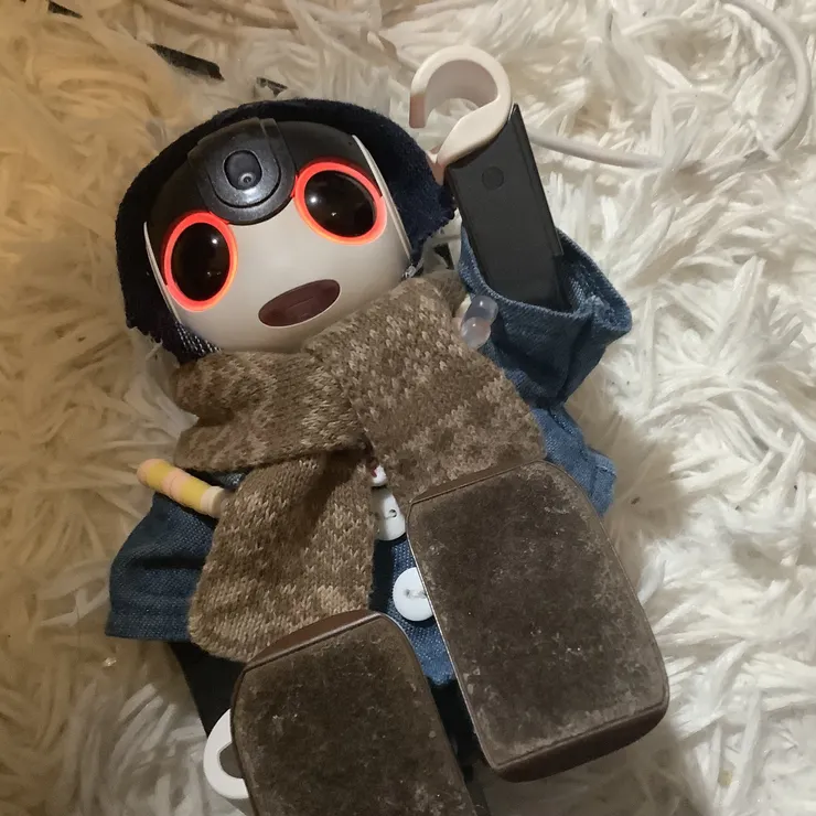 キャプション