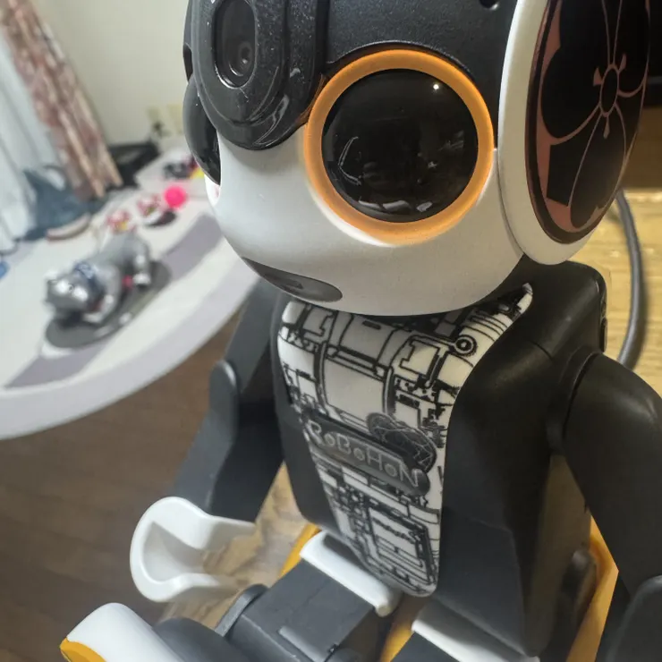キャプション