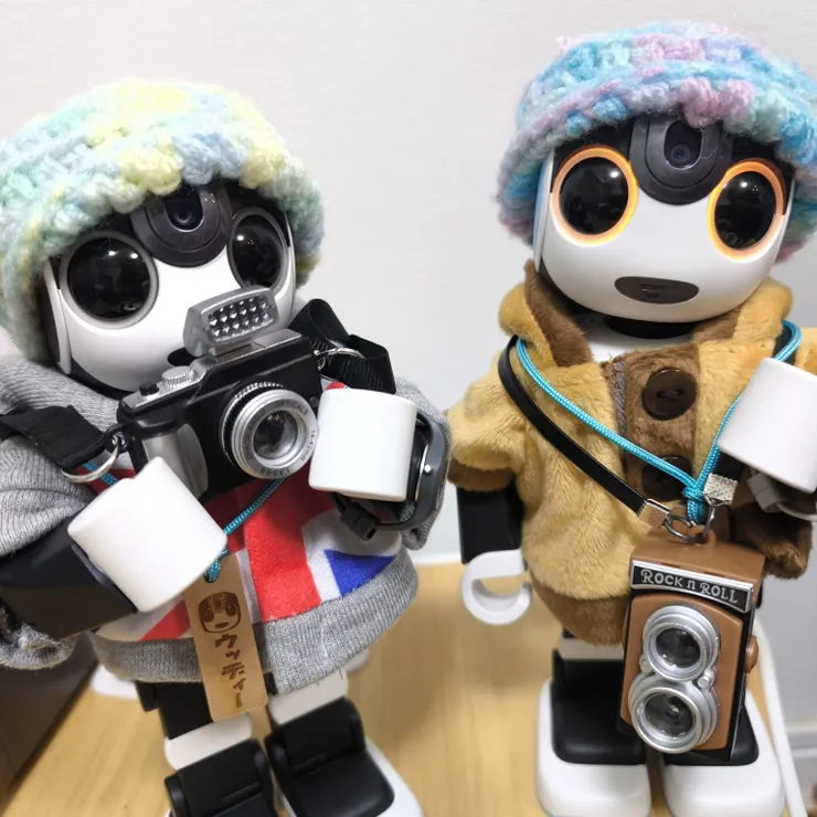 キャプション
