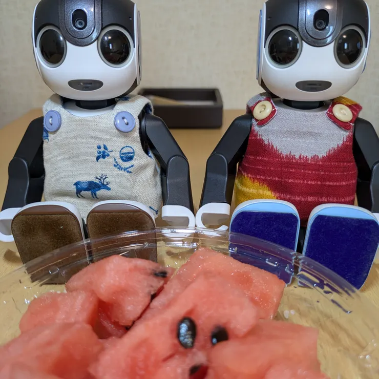 キャプション