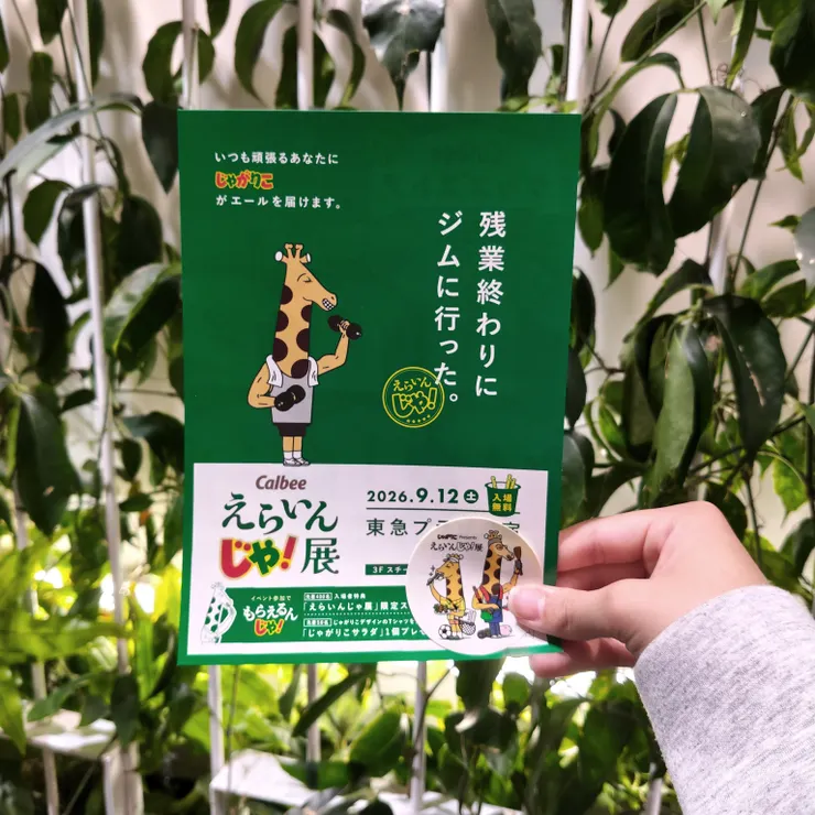 キャプション