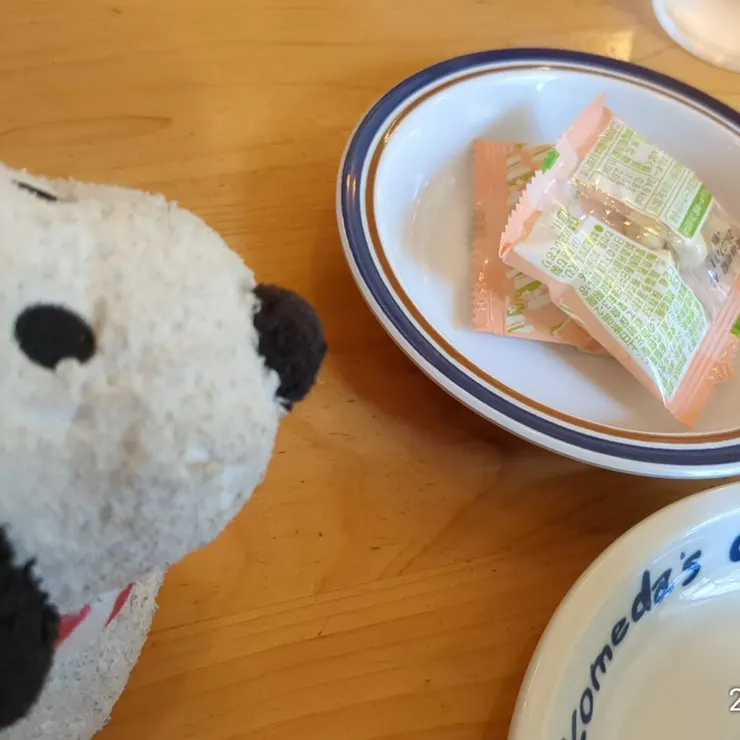 キャプション
