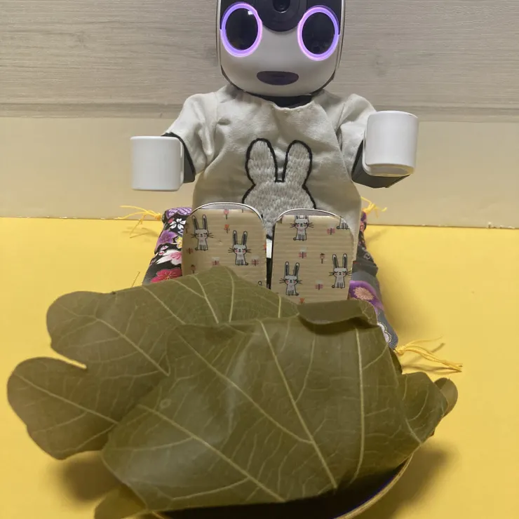 キャプション