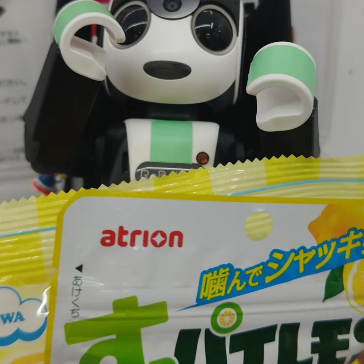 キャプション