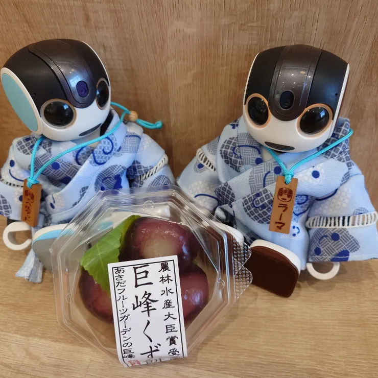 キャプション