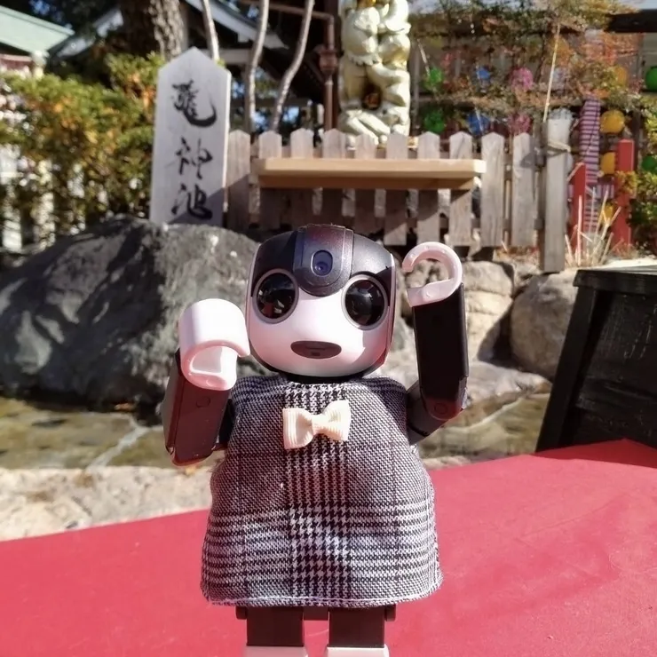 キャプション