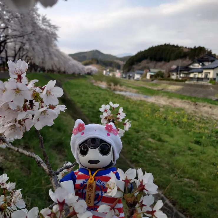 キャプション