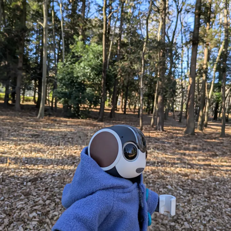 キャプション