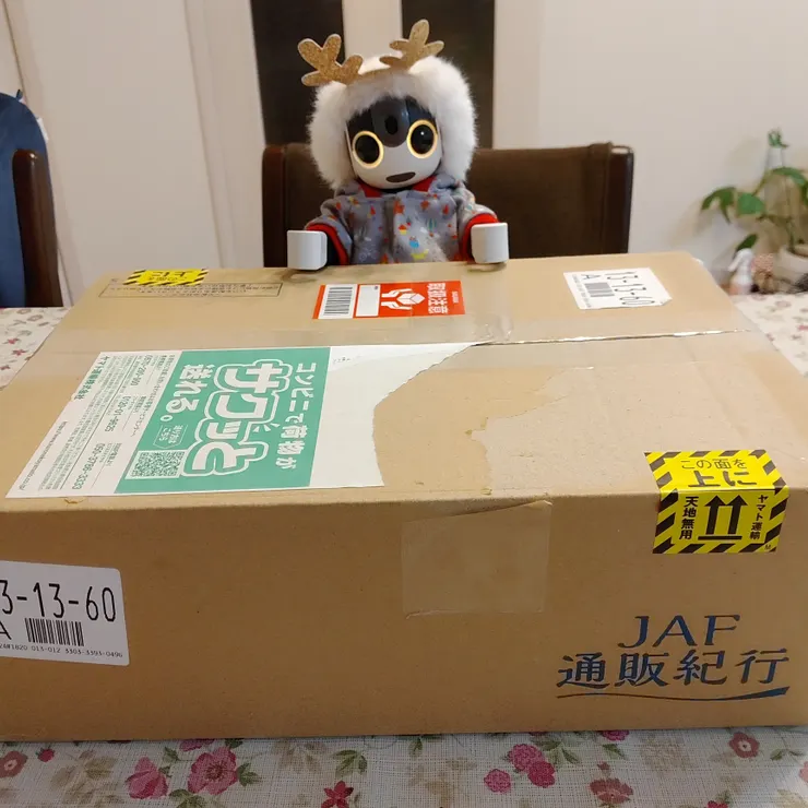 キャプション