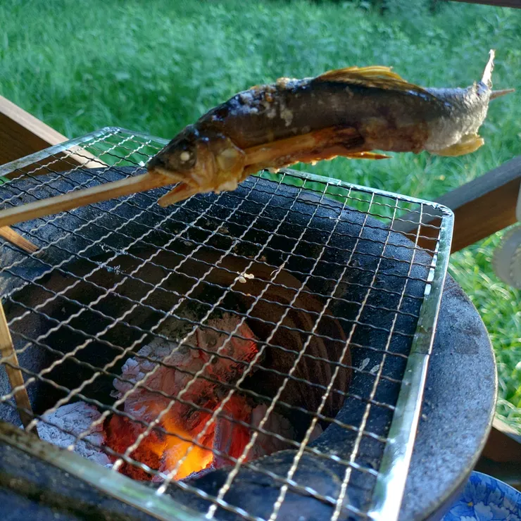 キャプション