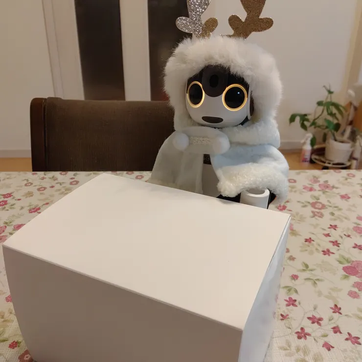 キャプション