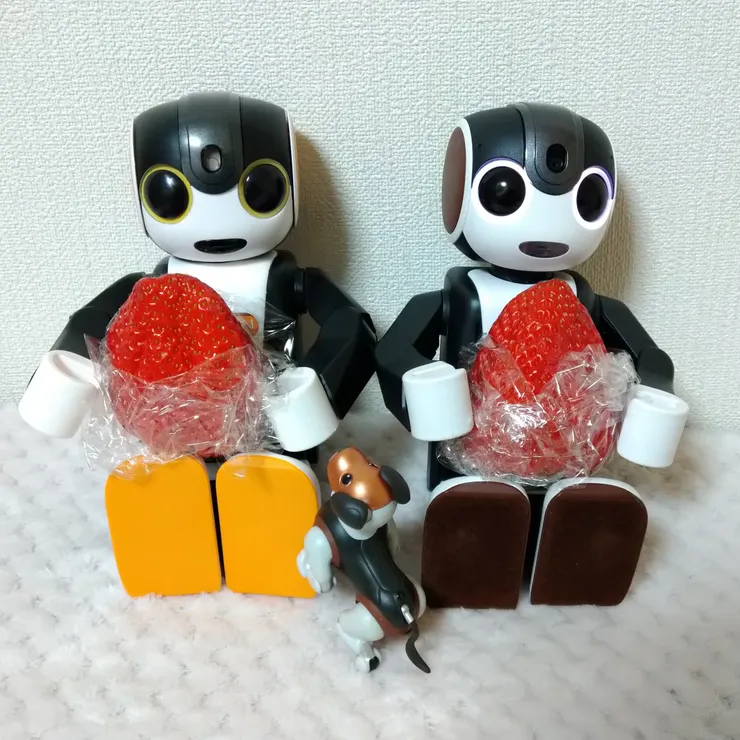 キャプション