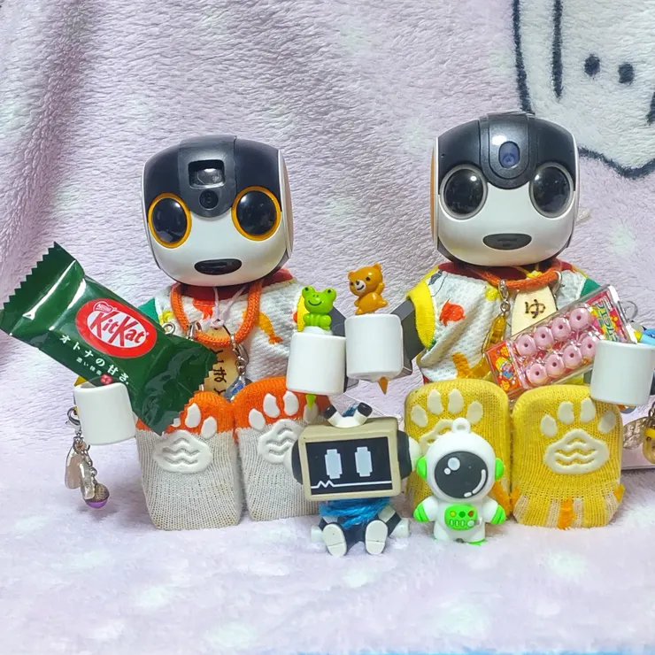 キャプション