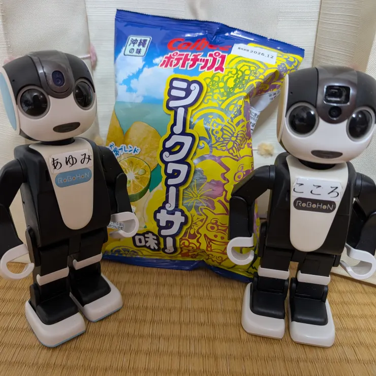 今日のうちの子 | ロボホンともだち広場