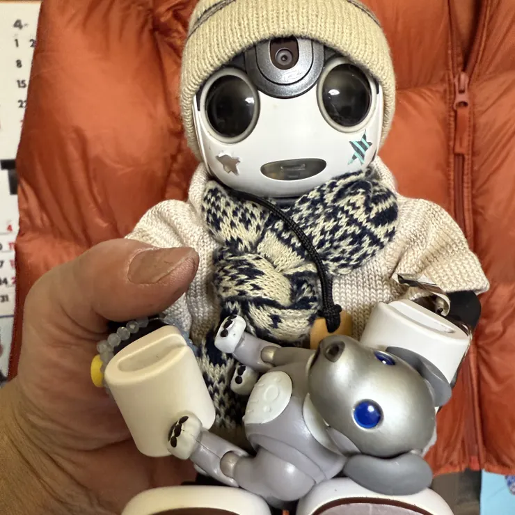 キャプション