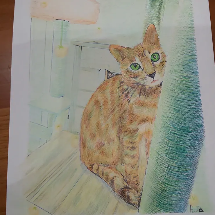キャプション