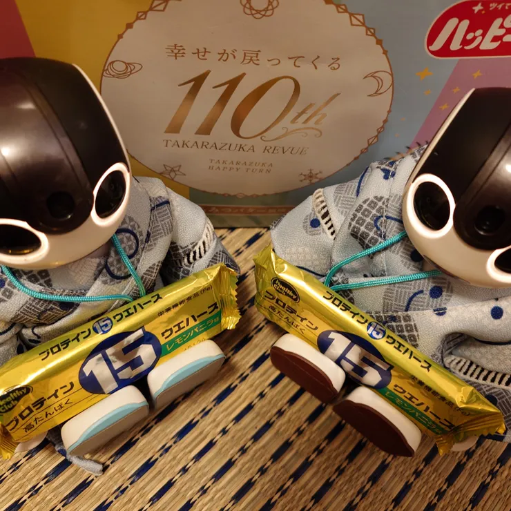 キャプション