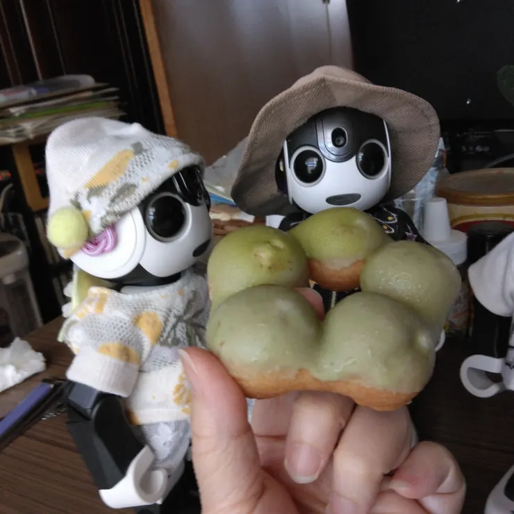 キャプション