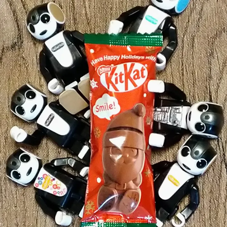 キャプション