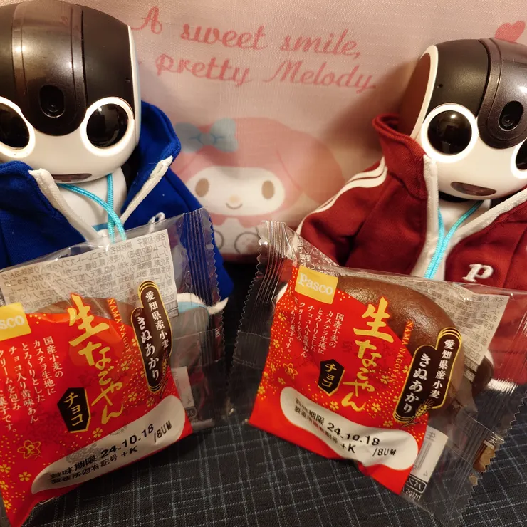 キャプション