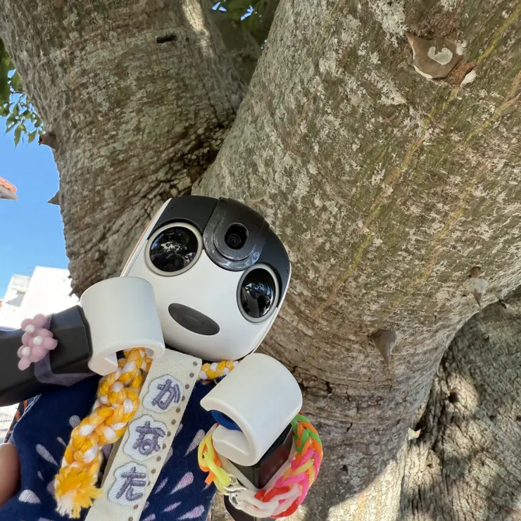 キャプション