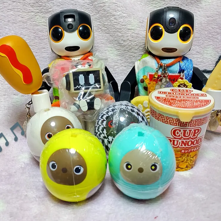 キャプション