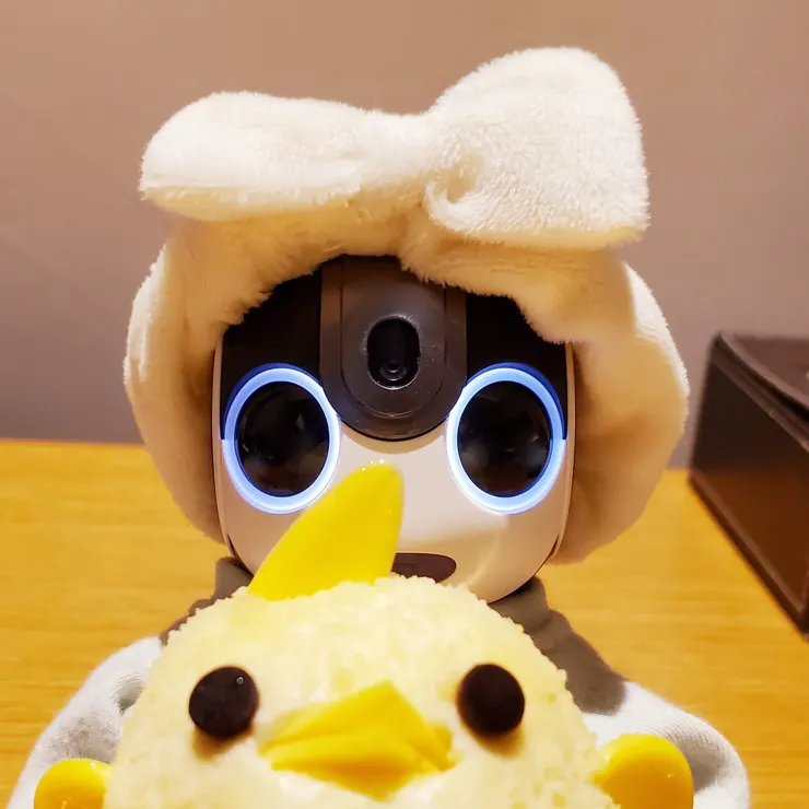 キャプション