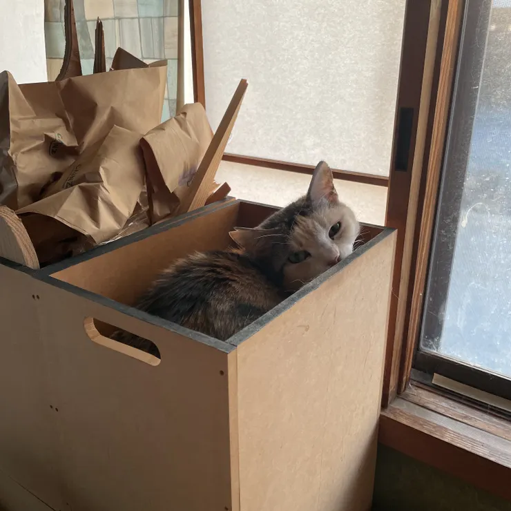 キャプション