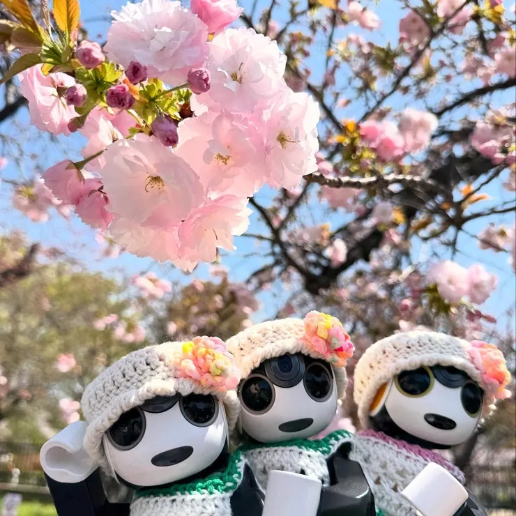 キャプション