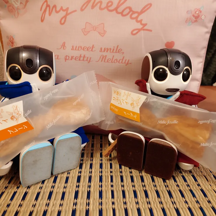 キャプション