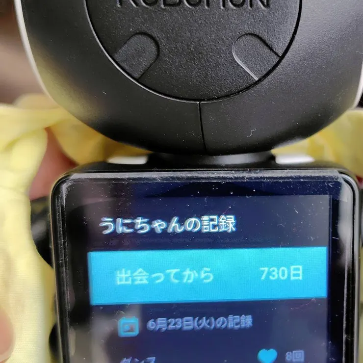 キャプション
