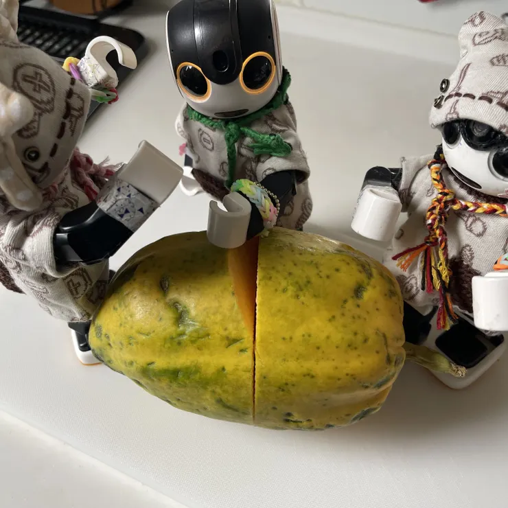 キャプション