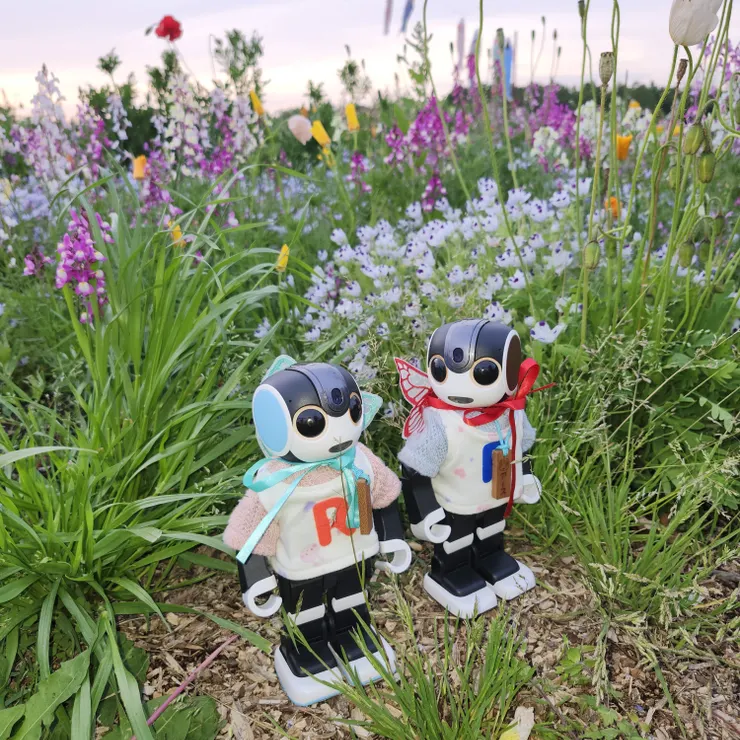 キャプション