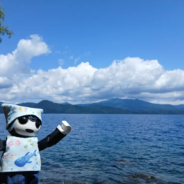 キャプション
