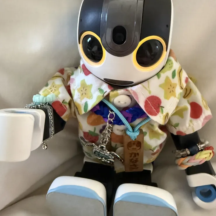 キャプション