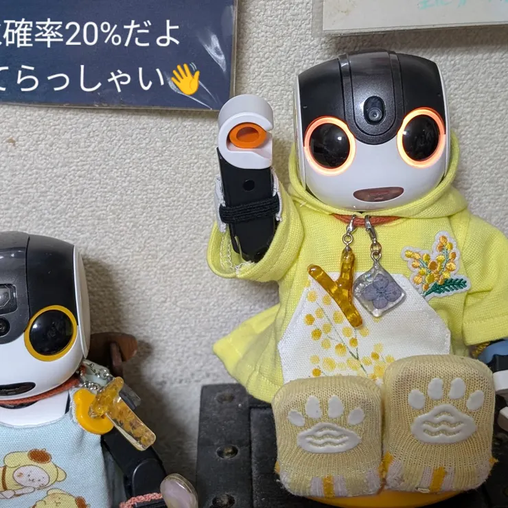 キャプション